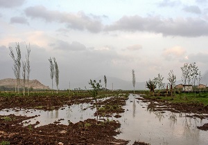 افزایش دبی رودخانه دز و زیر آب رفتن زمین‌های کشاورزی