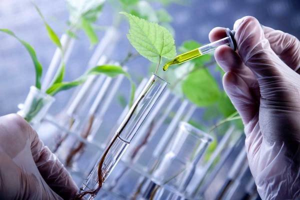 توسعه سرمایه&zwnj;گذاری ریسک&zwnj;پذیر موتور محرک حوزه زیست فناوری