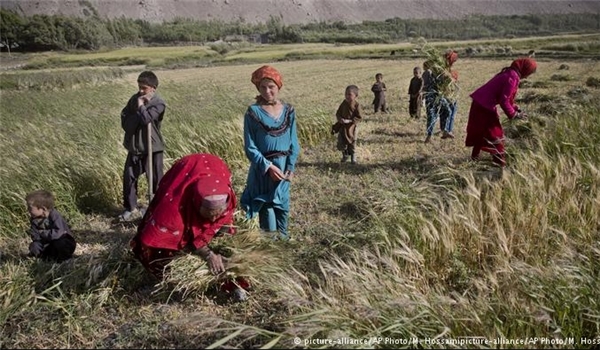 آغاز برنامه تقویت اقتصادی زنان روستایی در ولایات شرقی افغانستان