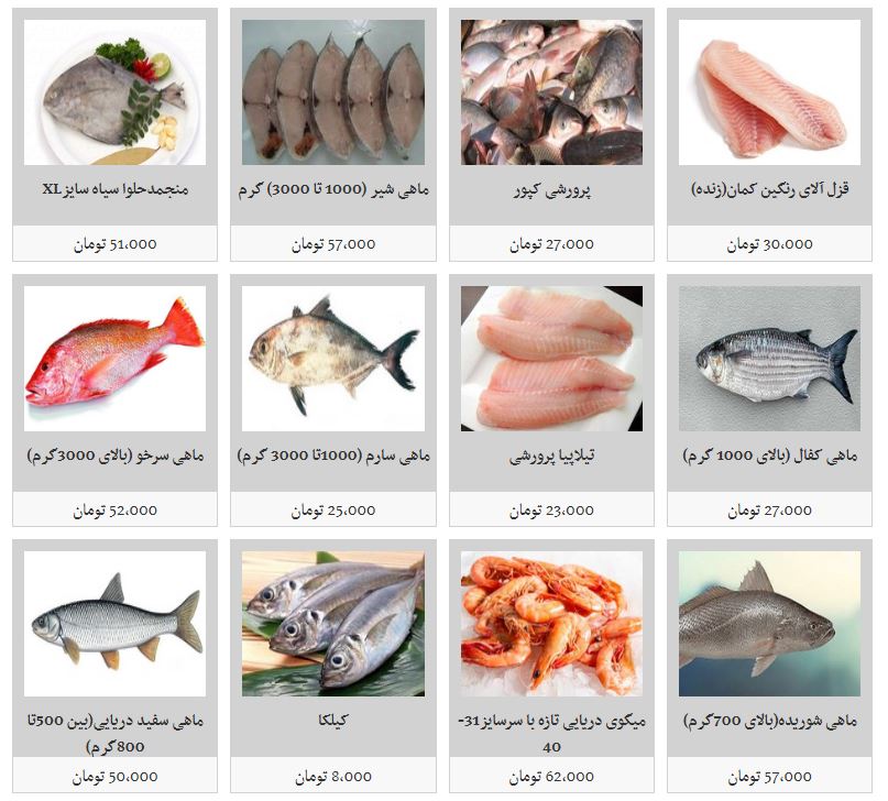 افزایش نسبی قیمت در بازار ماهی