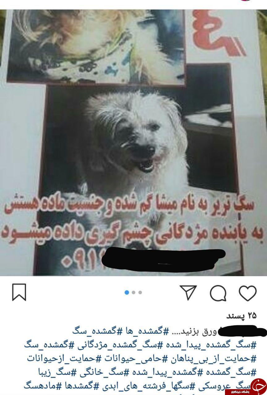 عجیب&zwnj;ترین آگهی&zwnj;هایی که در اینستاگرام منتشر می&zwnj;شوند +تصاویر