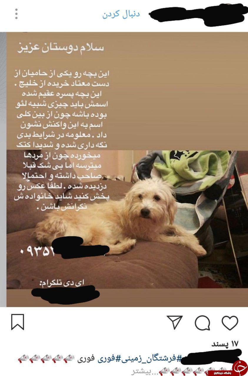 عجیب&zwnj;ترین آگهی&zwnj;هایی که در اینستاگرام منتشر می&zwnj;شوند +تصاویر