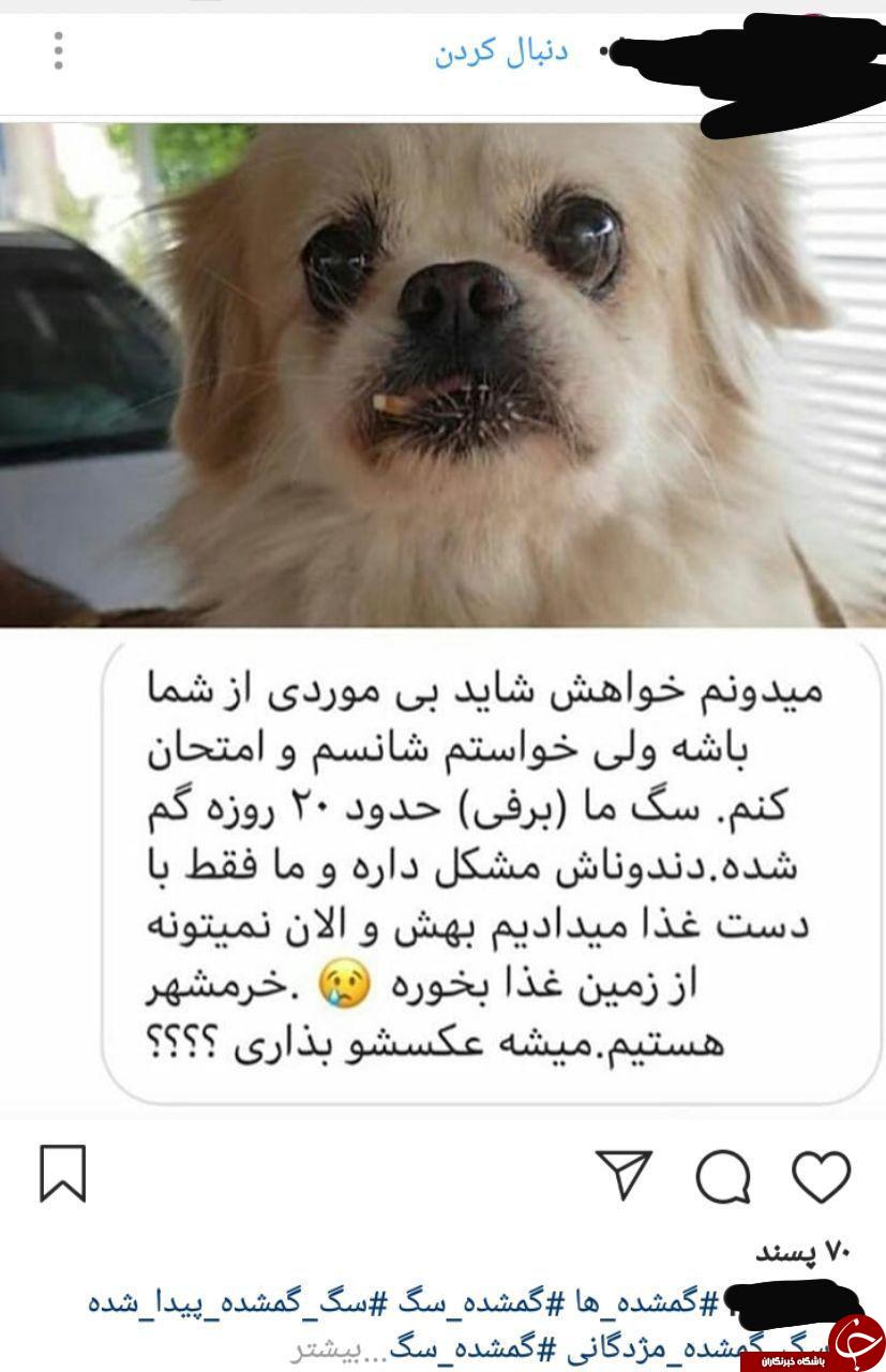 عجیب&zwnj;ترین آگهی&zwnj;هایی که در اینستاگرام منتشر می&zwnj;شوند +تصاویر