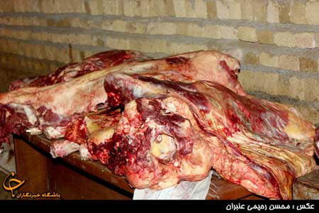 ماجرای کشف سر الاغ ذبح شده در کهگیلویه و بویراحمد چیست؟