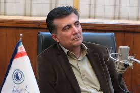 استفاده از داوران پشت دروازه در لیگ برتر