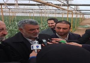 وسعت گلخانه‌های کشور به ۱۵ هزار هکتار رسیده است