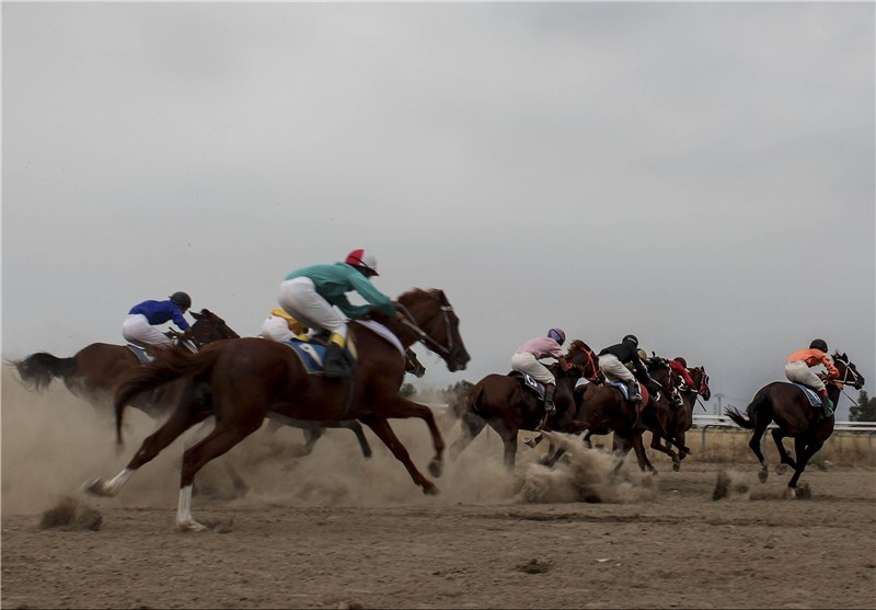 نتایج کورس سوارکاری زمستانه در گلستان