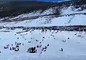 شادی علاقمندان به ورزش‌های زمستانی در پیست اسکی بارده + فیلم