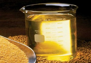 کشف ۳ تن و ۶۰۰ کیلوگرم روغن قاچاق در الیگودرز