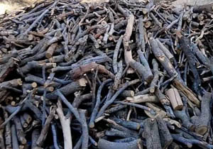 کشف پنج تن چوب جنگلی قاچاق در لردگان