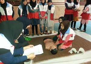برگزاری ۲۵ دوره آموزشی در شهرستان درمیان