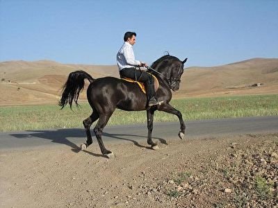 از دستاوردهای چهل ساله کشورمان در درمان ناباروری تا خوشحالی مردم اصفهان از زنده شدن زاینده رود + فیلم