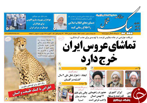سندسازی مدیرکل استاندارد/ طرح تنفس جنگل در خفگی قاچاق چوب
