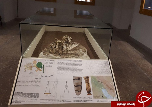 رونمایی گور پیش از تاریخی چگاسفلی در شوش