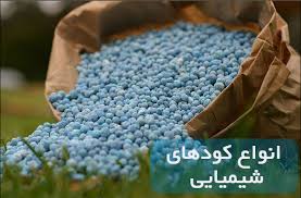 توزیع بیش از ۳ هزار تن انواع کود شیمیایی در استان ایلام