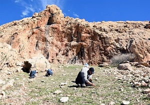 ثبت ۷۰ غار و پناهگاه صخره‎ای از دوران پارینه‎سنگی