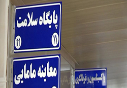 درآمدزایی با عطر خوش گل نرگس + فیلم
