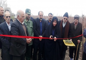راه اندازی سامانه ضد تگرگ دراستان قزوین