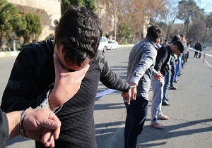 قانون دست سارقان حرفه‌ای را بست