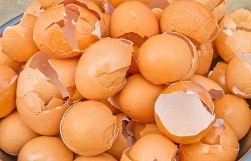چگونه عزت نفس کودک را افزایش دهیم؟/رفع سموم بدن با این دانه&zwnj;های سفید/استحکام استخوان با ماده&zwnj;ای ارزان قیمت