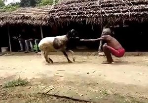 خبر