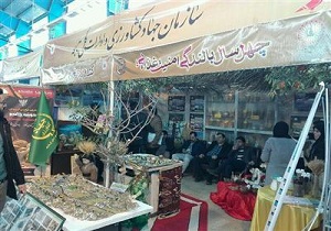 برگزاری نمایشگاه دستاوردهای چهل ساله بخش کشاورزی استان کرمانشاه