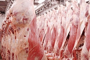 تیغ محموله ۸۰۰ تنی روی گردن قیمت گوشت