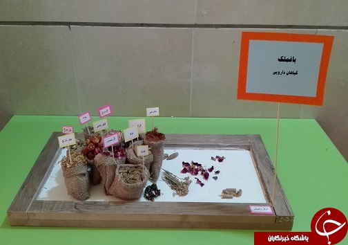 جشنواره خوزستان شناسی در اهواز افتتاح شد