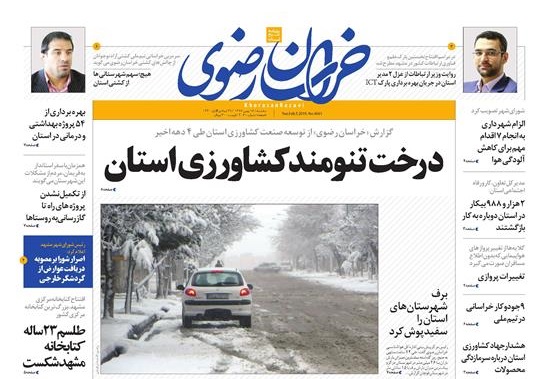 جزئیات جدید جلوگیری مافیا از واردات گوشت ارزان قیمت/ درخت تنومند کشاورزی استان