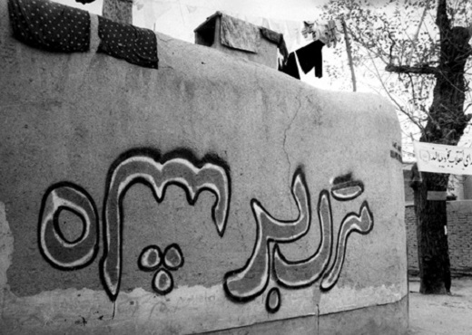 مبارز باهوشی که دست ماموران راخواند و فرار نکرد