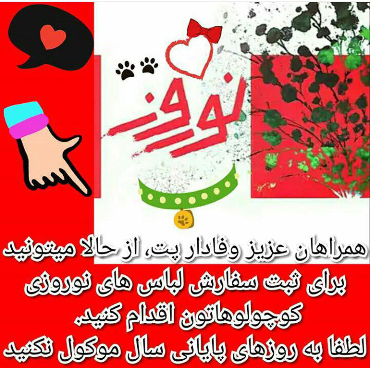 رونق خدمات لاکچری برای حیوانات خانگی نوکیسه&zwnj;های تهرانی/ از &laquo;لباس ولنتاین&raquo; و ساقدوش برای سگ تا &laquo;حمام لاکچری&raquo; و آرایش ویژه برای گربه! +عکس