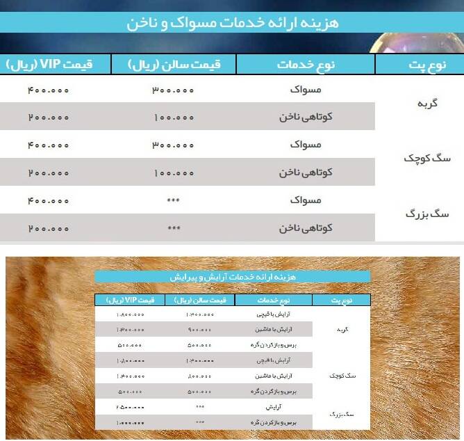 رونق خدمات لاکچری برای حیوانات خانگی نوکیسه&zwnj;های تهرانی/ از &laquo;لباس ولنتاین&raquo; و ساقدوش برای سگ تا &laquo;حمام لاکچری&raquo; و آرایش ویژه برای گربه! +عکس