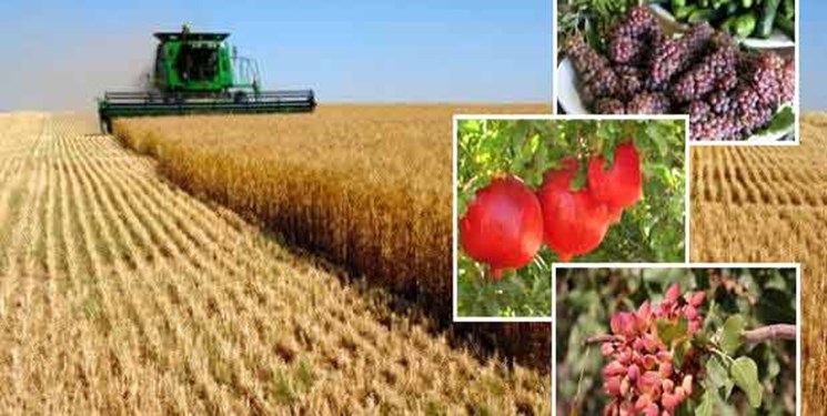 کشور&zwnj;ها در شرایط تحریم برای بخش کشاورزی چه می&zwnj;کنند؟
