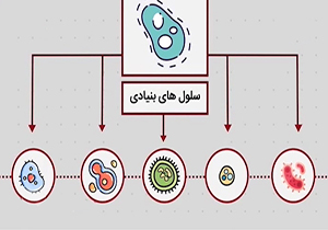 دانش سلول‌های بنیادی به چه کاری می‌آید؟ + فیلم
