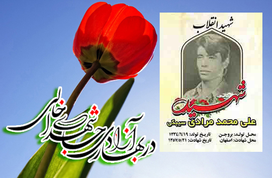 زندگی&lrm;نامه شهید انقلاب اسلامی؛ علی&lrm;محمد مرادی سیبکی