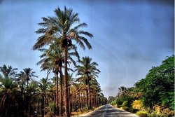 بخشودگی سود و جرائم و امهال سه ساله تسهیلات بخش کشاورزی