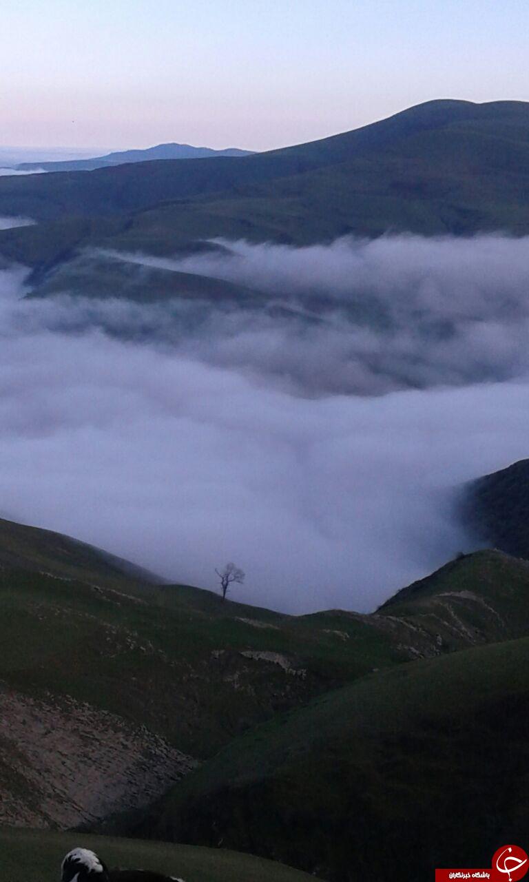 طبیعت زیبا و رؤیایی روستای 