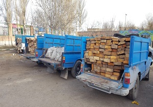 ۱۵۸ اصله چوب آلات قاچاق جنگلی در اردبیل کشف شد
