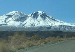 عروس زیبای کویر بار دیگر خودنمایی می&zwnj;کند
