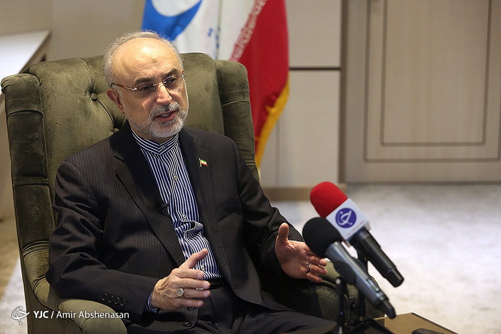 صالحی پاسخ زیباکلام در خصوص برنامه هسته&zwnj;ای کشور را داد/ آقای صالحی گفته هر کسی دانشمند بوده و اخراج شده کارنامه&zwnj;اش را بیاورد!