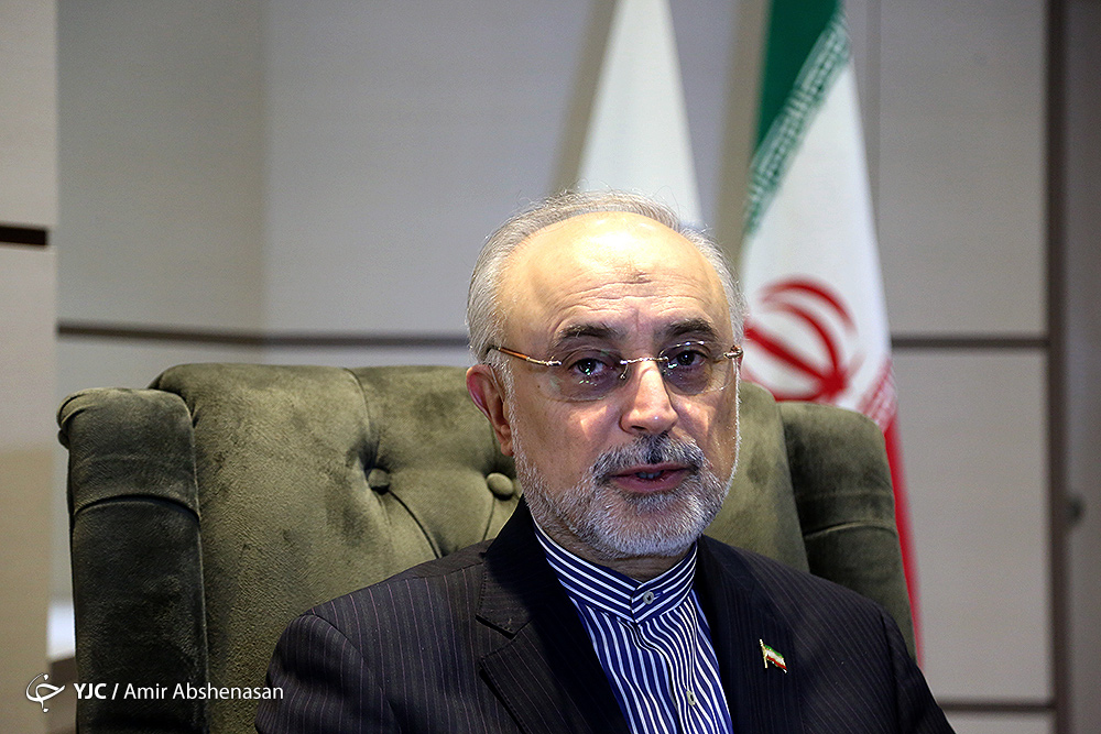 صالحی پاسخ زیباکلام در خصوص برنامه هسته&zwnj;ای کشور را داد/ آقای صالحی گفته هر کسی دانشمند بوده و اخراج شده کارنامه&zwnj;اش را بیاورد!