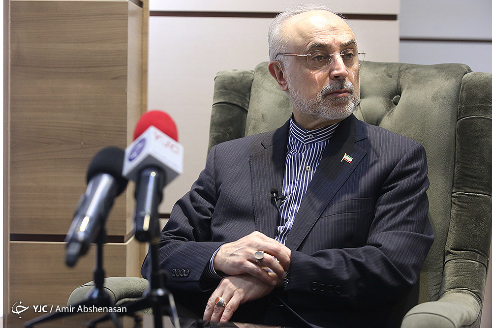 صالحی پاسخ زیباکلام در خصوص برنامه هسته&zwnj;ای کشور را داد/ آقای صالحی گفته هر کسی دانشمند بوده و اخراج شده کارنامه&zwnj;اش را بیاورد!