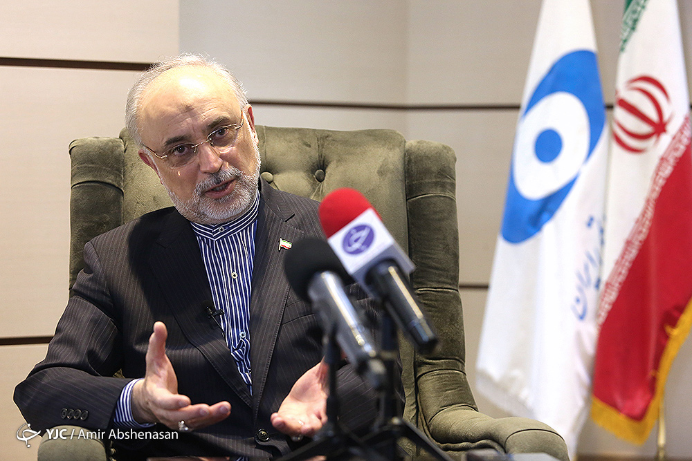 صالحی پاسخ زیباکلام در خصوص برنامه هسته&zwnj;ای کشور را داد/ آقای صالحی گفته هر کسی دانشمند بوده و اخراج شده کارنامه&zwnj;اش را بیاورد!