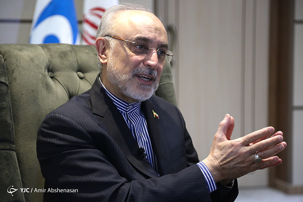 صالحی پاسخ زیباکلام در خصوص برنامه هسته&zwnj;ای کشور را داد/ آقای صالحی گفته هر کسی دانشمند بوده و اخراج شده کارنامه&zwnj;اش را بیاورد!