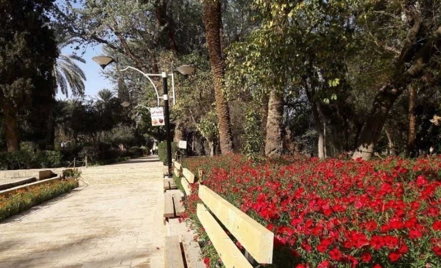 اعجازی زیبا در دل کویر + تصاویر