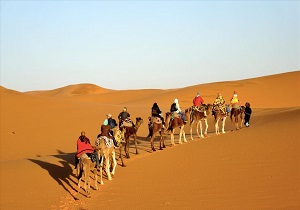 ورزش‌های کویری رونق گیرد