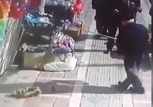 فیلمی دردناک از کشتن گربه‌ها توسط صاحب بی‌رحم مغازه