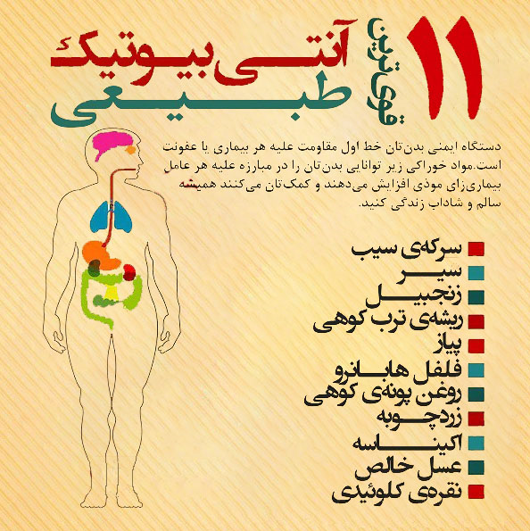 ۱۱ آنتی بیوتیک&zwnj; طبیعی را بشناسید+ اینفوگرافی