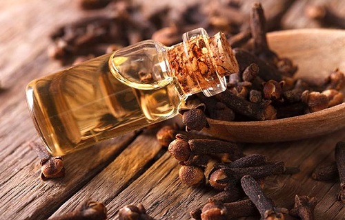 با مصرف روغن درخت چای درد دندان عقل را کاهش دهید/میوه&zwnj;ای مفید برای رسیدن به وزن ایده&zwnj;آل/چگونه از شر انگل در بدن رها شویم؟