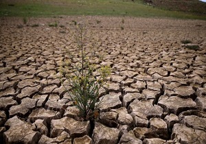 برای مقابله با خشکسالی پیش رو در اردبیل برنامه ریزی می‌کنیم